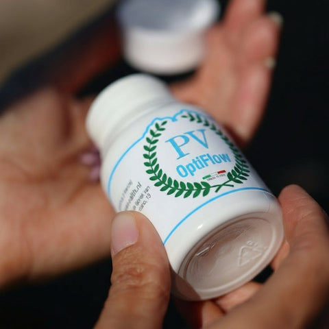 De wetenschap achter focus en concentratie wat je moet weten voor betere resultaten