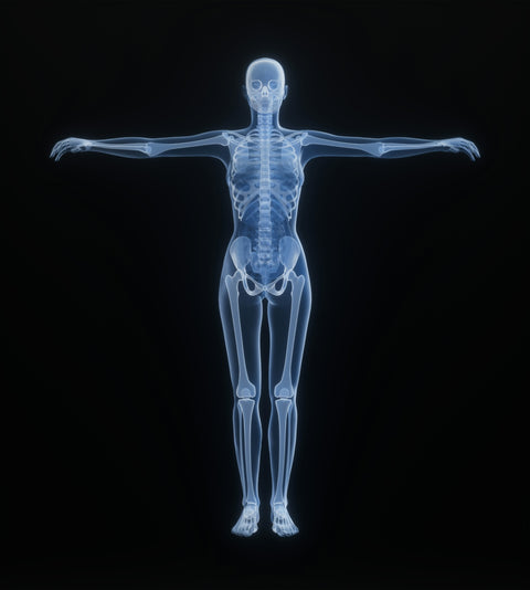X-ray of a human skeleton against black background